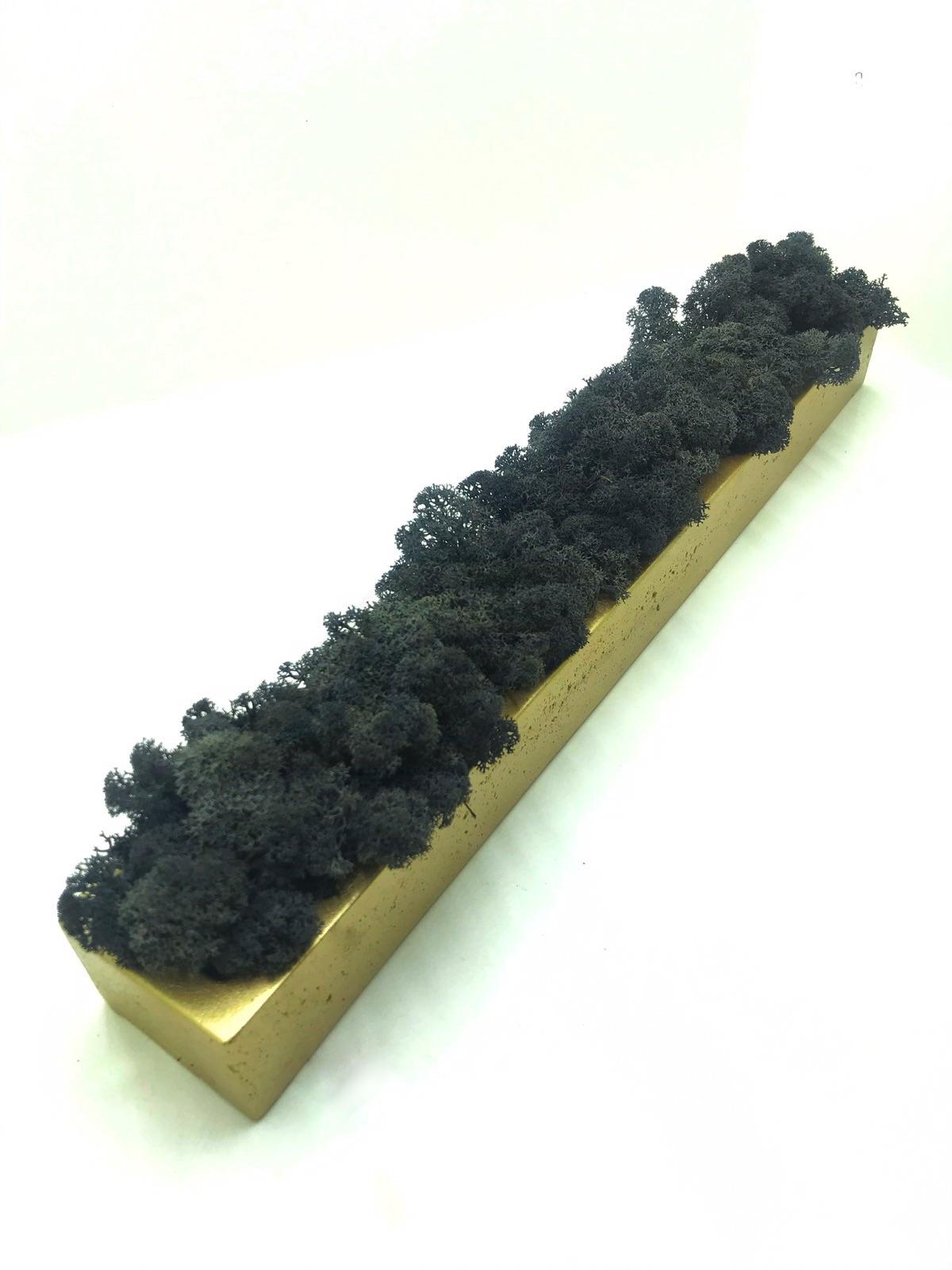 Стабилизированный мох в кашпо Gold-Black 500х70х50мм — изображение 1